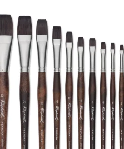 Raphaël Textura Brushes -Canson Sale 04426 Group 1 4ww