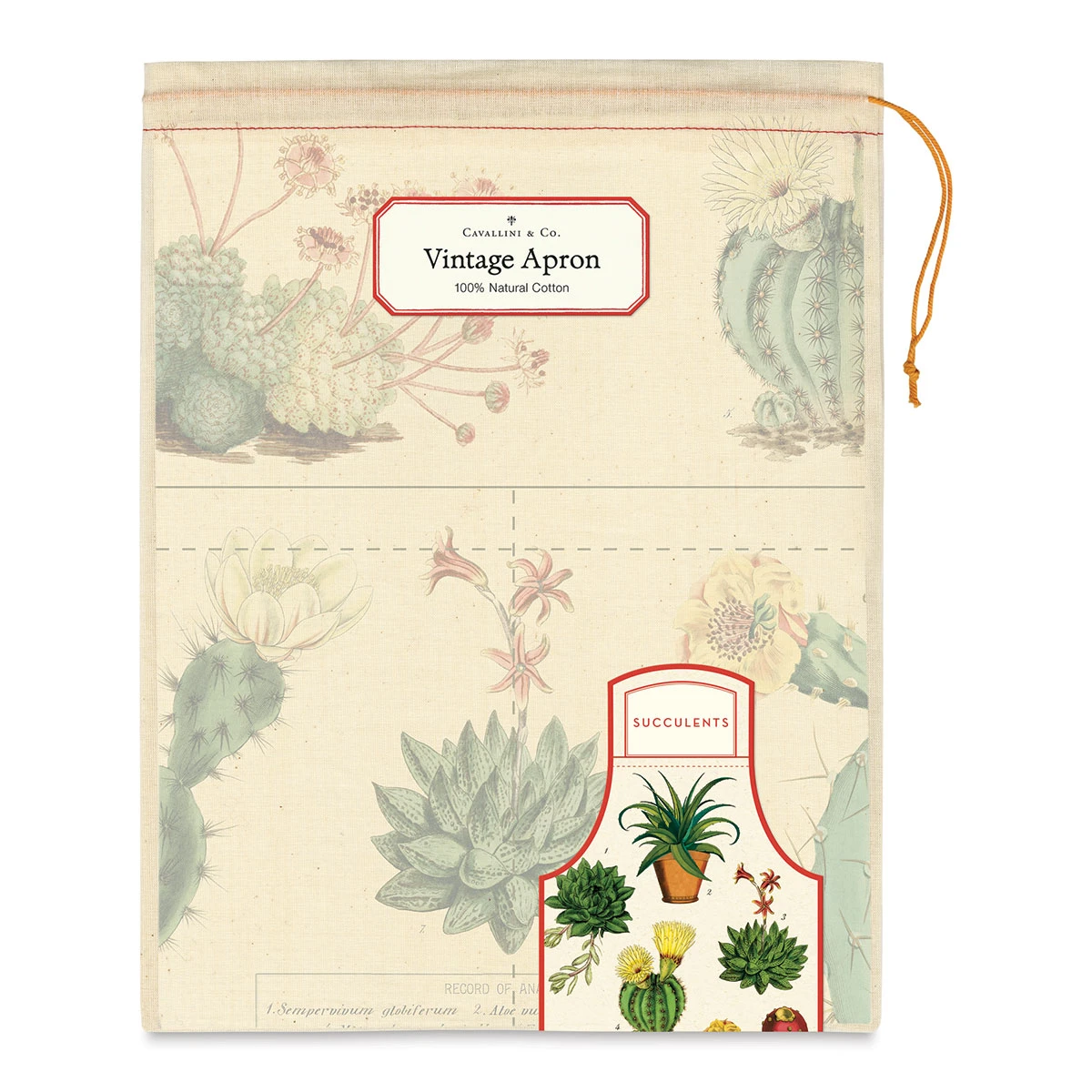 Cavallini Vintage Succulents Apron 2 Cavallini Vintage Succulents Apron - Image 2