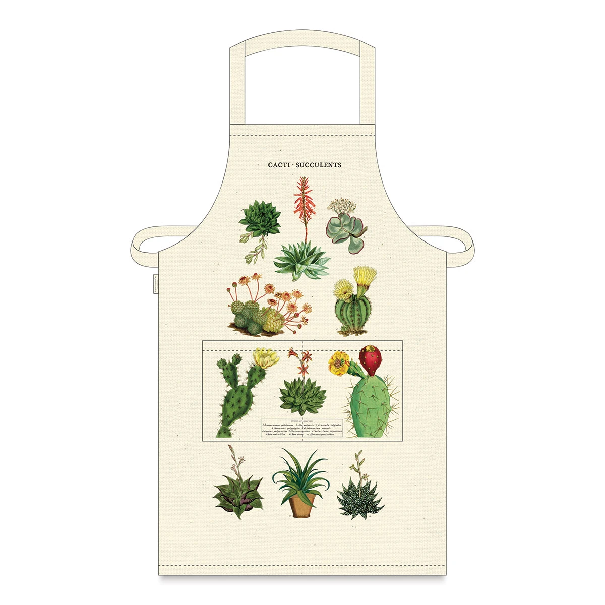 Cavallini Vintage Succulents Apron 1 Cavallini Vintage Succulents Apron