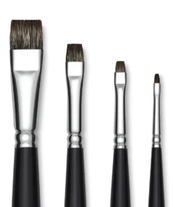 Raphaël Kevrin Plus Brushes -Canson Sale 05449 group 1 4ww