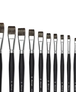 Raphaël Kevrin Plus Brushes -Canson Sale 05450 group 1 4ww