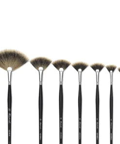 Raphaël Kevrin Plus Brushes -Canson Sale 05451 group 1 4ww