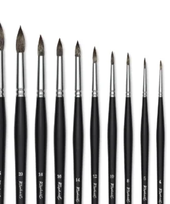 Raphaël Kevrin Plus Brushes -Canson Sale 05453 group 1 4ww