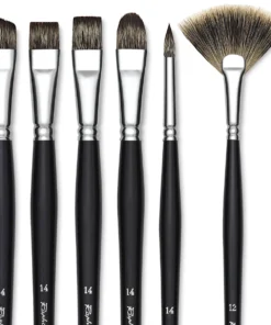 Raphaël Kevrin Plus Brushes