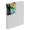 Liquitex Basics Stretched Cotton Canvas Packs