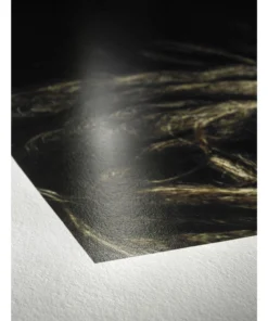 Hahnemühle Photo Rag Baryta Inkjet Photo Cards 7 Hahnemühle Photo Rag Baryta Inkjet Photo Cards -Canson Sale 10565 1004 lifestyle 2 4ww