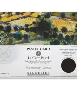 Sennelier La Carte Pastel Card -Canson Sale 10749 2006 M 4ww