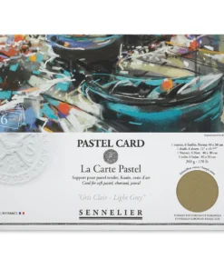 Sennelier La Carte Pastel Card -Canson Sale 10749 2506 M 4ww