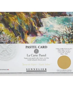 Sennelier La Carte Pastel Card -Canson Sale 10749 4146 M 4ww