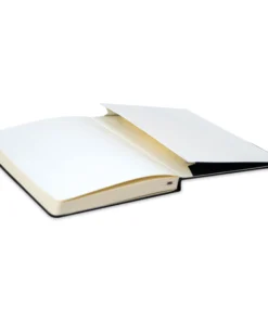 Moleskine Music Notebook 7 Moleskine Music Notebook -Canson Sale 11800 2003 4 4ww