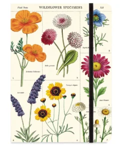 Cavallini Wildflower Large Notebook