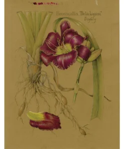 Stonehenge Kraft Paper Pads -Canson Sale 13751 WendyHollender 2 CR 4ww