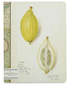 Alibabette Editions Paris Lined Journals