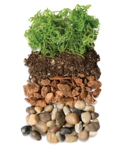 SuperMoss DIY Terrarium Jar Kits -Canson Sale 14999 1001 1 4ww