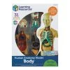 Learning Resources Human Anatomy Model