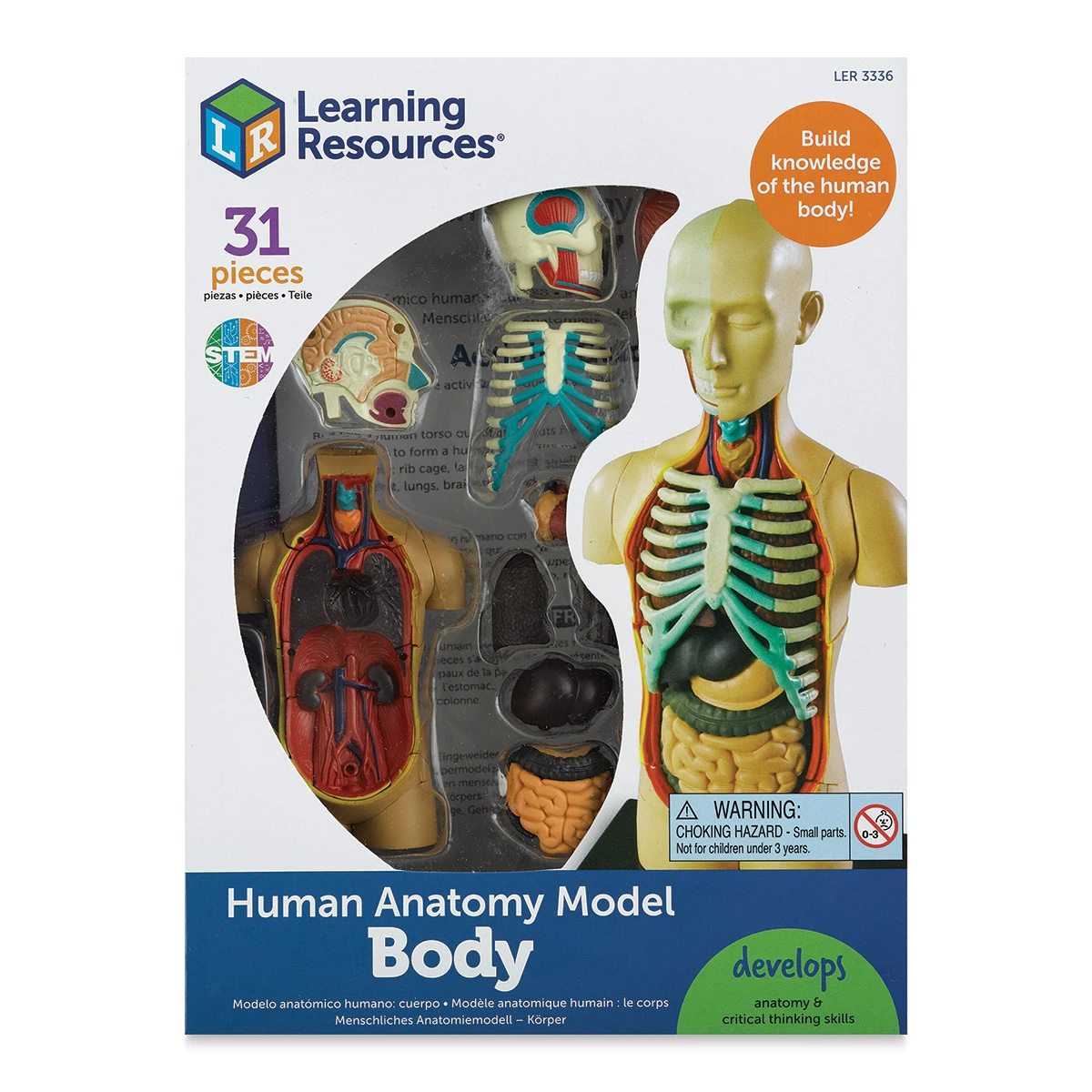 Learning Resources Human Anatomy Model 1 Learning Resources Human Anatomy Model