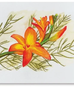 Derwent Inktense Pencils And Sets -Canson Sale 22051 1012 art3ww l