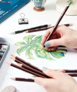 Derwent Coloursoft Pencils And Sets -Canson Sale 22064 art v 2 4ww