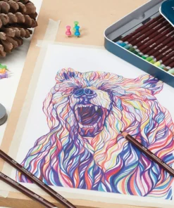 Derwent Coloursoft Pencils And Sets -Canson Sale 22064 art v 4 4ww