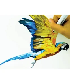 Blick Studio Brush Markers And Sets -Canson Sale 24532 art B2 4ww