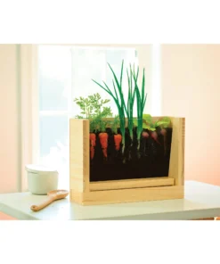 Hearthsong Grow With Me Root Viewer Kit 5 Hearthsong Grow With Me Root Viewer Kit -Canson Sale 50439 1001 3 4ww