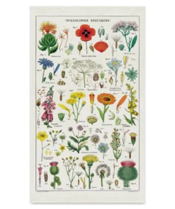 Cavallini Wildflowers Tea Towel