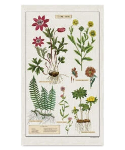 Cavallini Herbarium Tea Towel