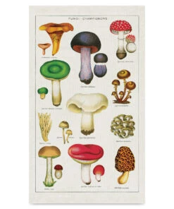Cavallini Mushrooms Tea Towel
