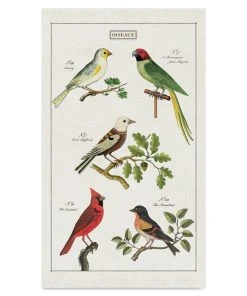 Cavallini Birds Tea Towel