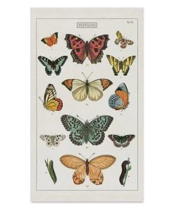 Cavallini Butterflies Tea Towel