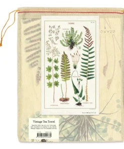 Cavallini Ferns Tea Towel -Canson Sale 60874 1015 1 4ww