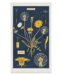 Cavallini Dandelion Tea Towel