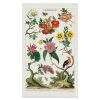 Cavallini Vintage Floreale Tea Towel