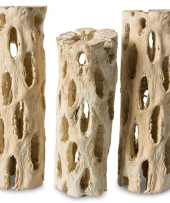 SuperMoss Cholla Wood