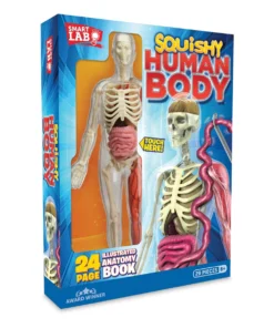SmartLab Squishy Human Body Kit