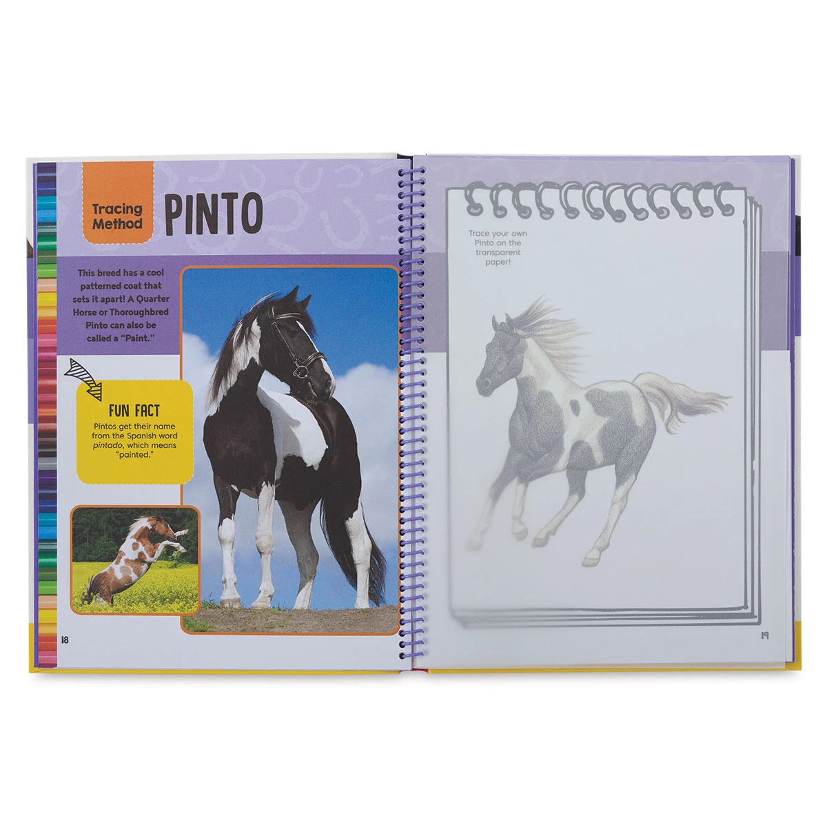 Horses & Ponies Drawing & Activity Book 5 Horses & Ponies Drawing & Activity Book - Image 5
