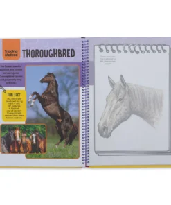 Horses & Ponies Drawing & Activity Book 7 Horses & Ponies Drawing & Activity Book -Canson Sale 68163 1029 3 4ww