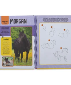 Horses & Ponies Drawing & Activity Book 8 Horses & Ponies Drawing & Activity Book -Canson Sale 68163 1029 4 4ww