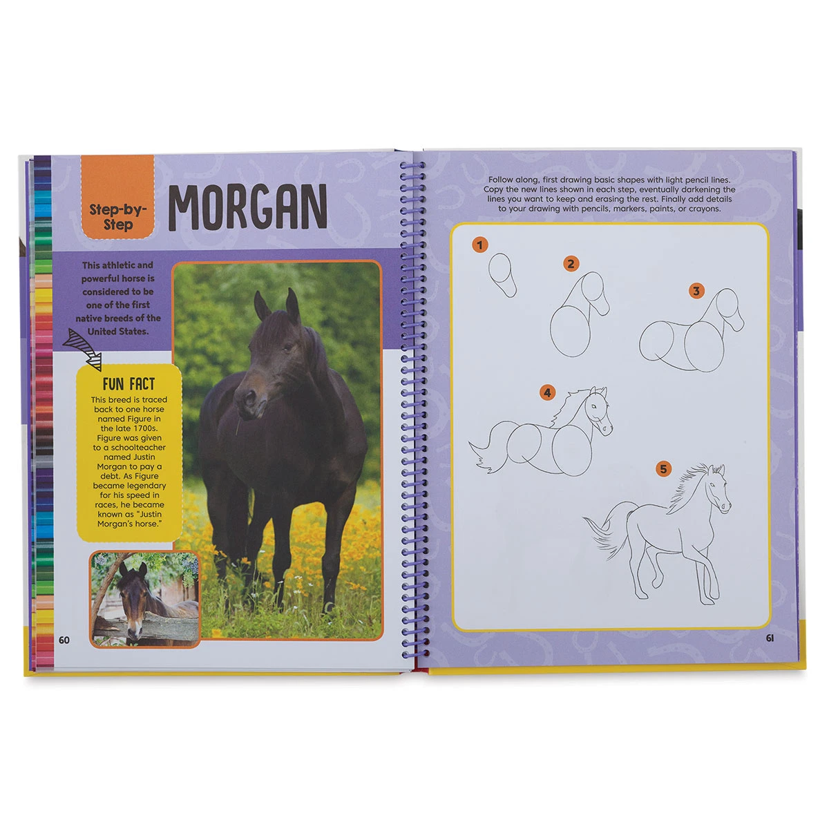 Horses & Ponies Drawing & Activity Book 4 Horses & Ponies Drawing & Activity Book - Image 4