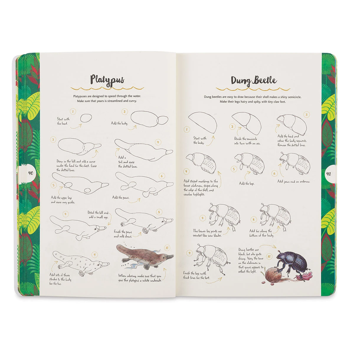 TenStep Drawing: Animals 5 TenStep Drawing: Animals - Image 5