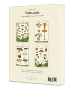 Cavallini Foraging Boxed Note Cards -Canson Sale 75385 1010 5 4ww
