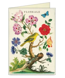 Cavallini Floreale Boxed Note Cards 6 Cavallini Floreale Boxed Note Cards -Canson Sale 75385 1012 3 4ww