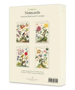 Cavallini Floreale Boxed Note Cards 7 Cavallini Floreale Boxed Note Cards -Canson Sale 75385 1012 5 4ww