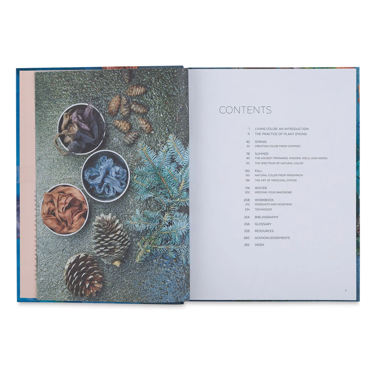 Natural Color: Vibrant Plant Dye Projects For Your Home And Wardrobe 2 Natural Color: Vibrant Plant Dye Projects For Your Home And Wardrobe - Image 2