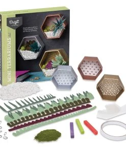 Craft Crush Mini Terrariums Kit