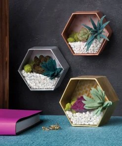 Craft Crush Mini Terrariums Kit -Canson Sale 83763 1269 2 4ww