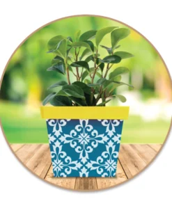 Craft Medley Square Wood Garden Pots -Canson Sale 84415 1039 2 4ww