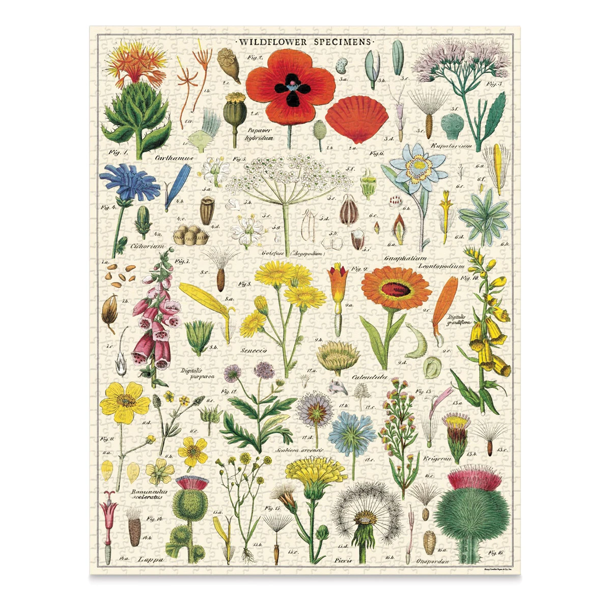 Cavallini Vintage Wildflowers 1000 Piece Puzzle 2 Cavallini Vintage Wildflowers 1000 Piece Puzzle - Image 2