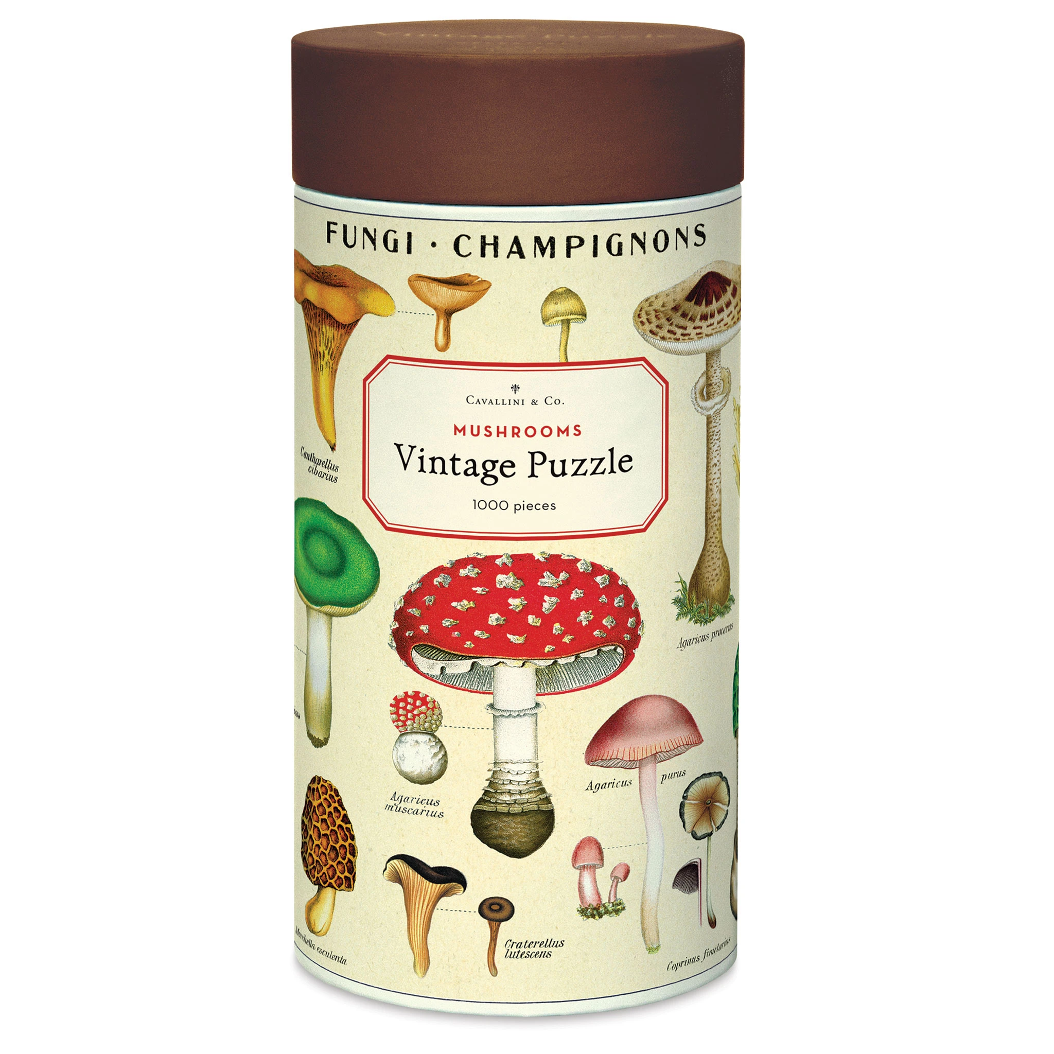 Cavallini Vintage Mushrooms 1000 Piece Puzzle 1 Cavallini Vintage Mushrooms 1000 Piece Puzzle