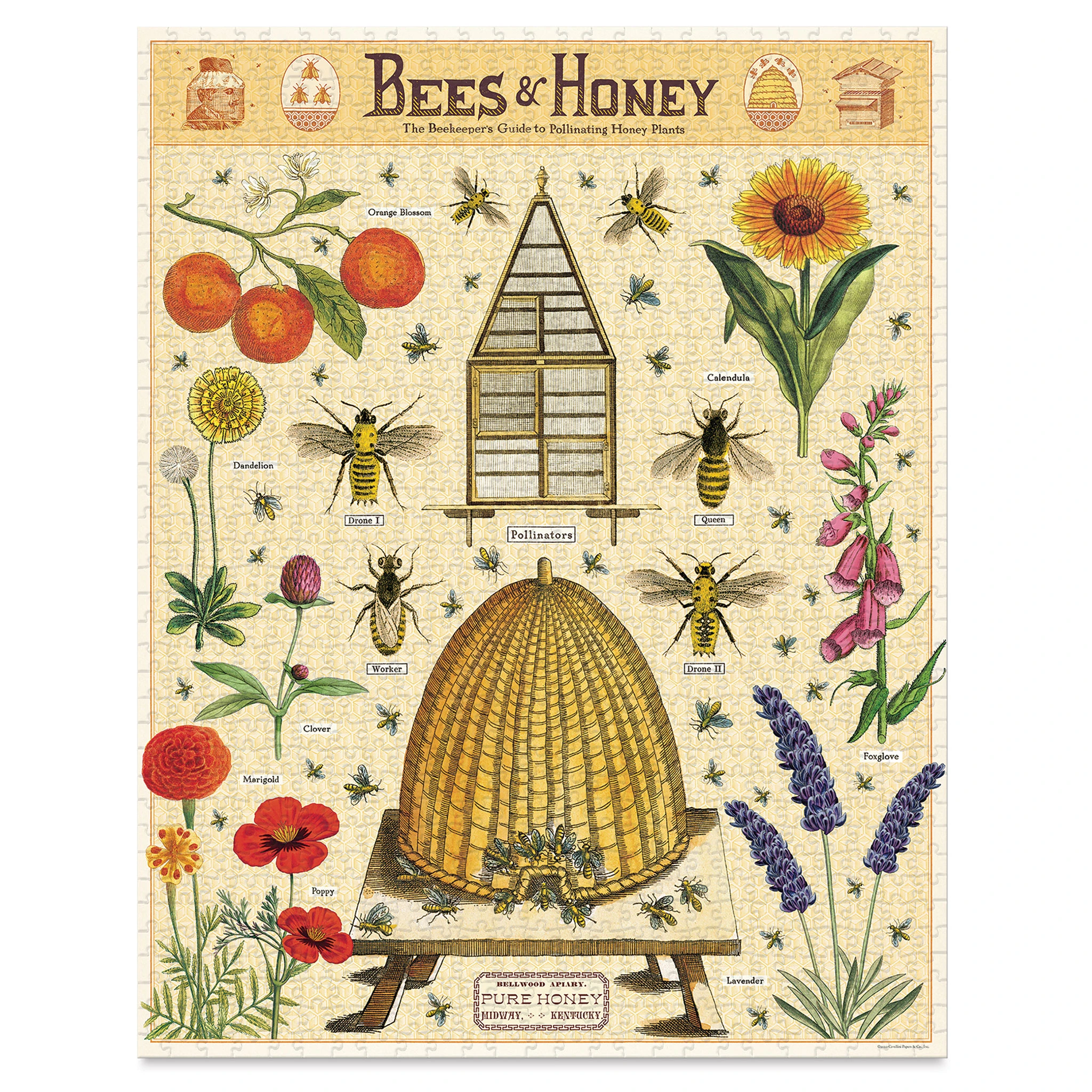 Cavallini Vintage Bees And Honey 1000 Piece Puzzle 2 Cavallini Vintage Bees And Honey 1000 Piece Puzzle - Image 2